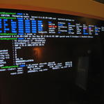 2008-08-01