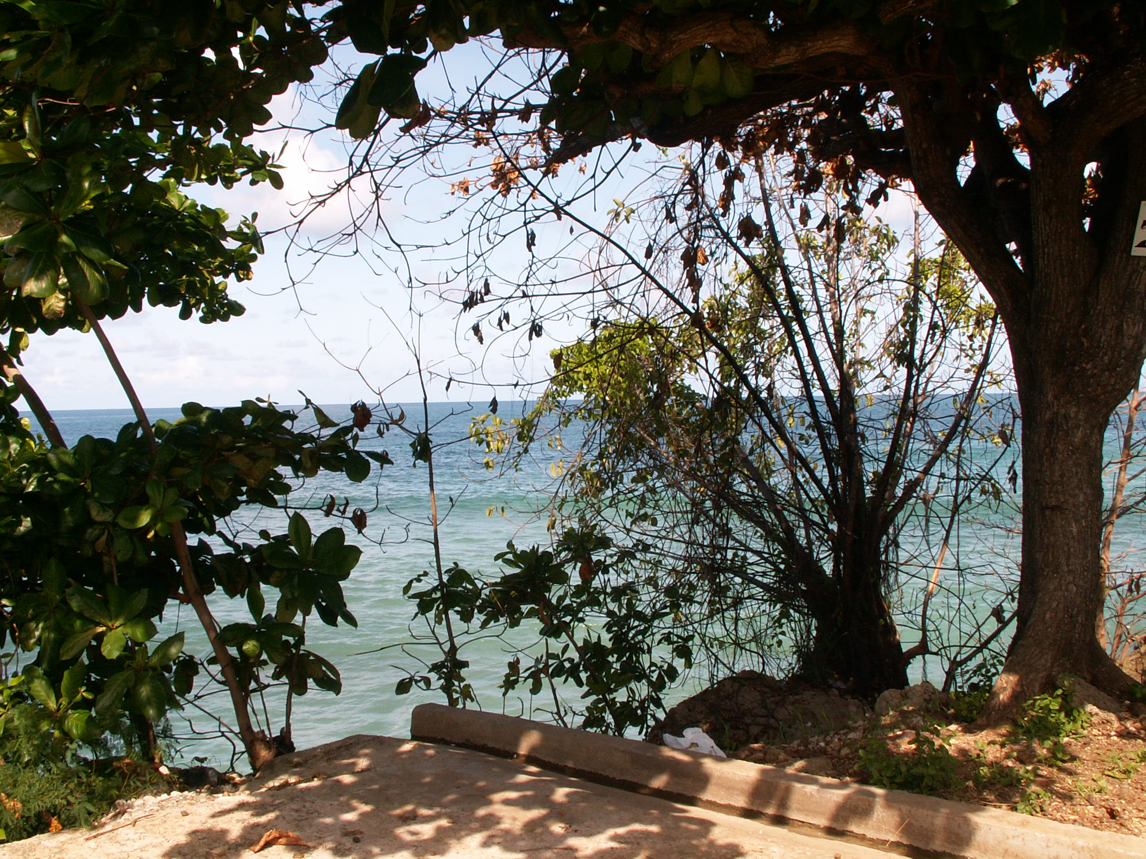 PICT0070
