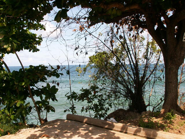 PICT0070