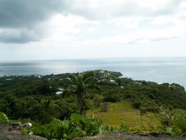 PICT0098