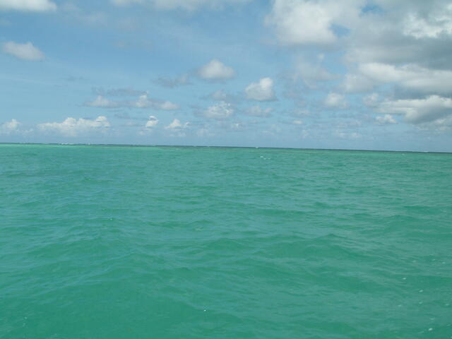 PICT0156