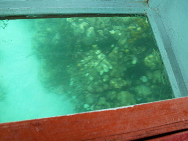 PICT0165