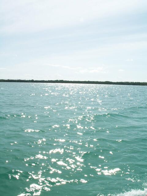 PICT0177